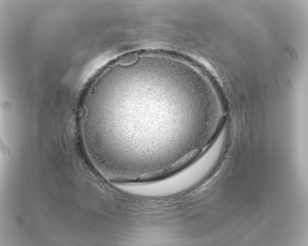 X0000090961263200708091348