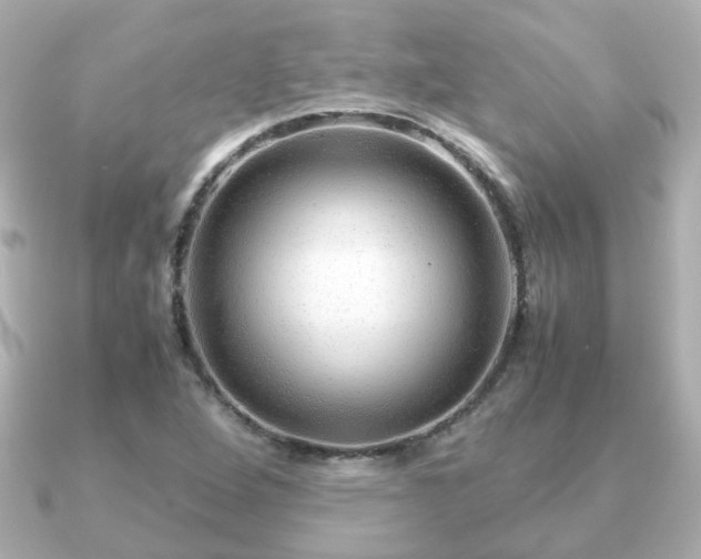 X0000090961264200708091348