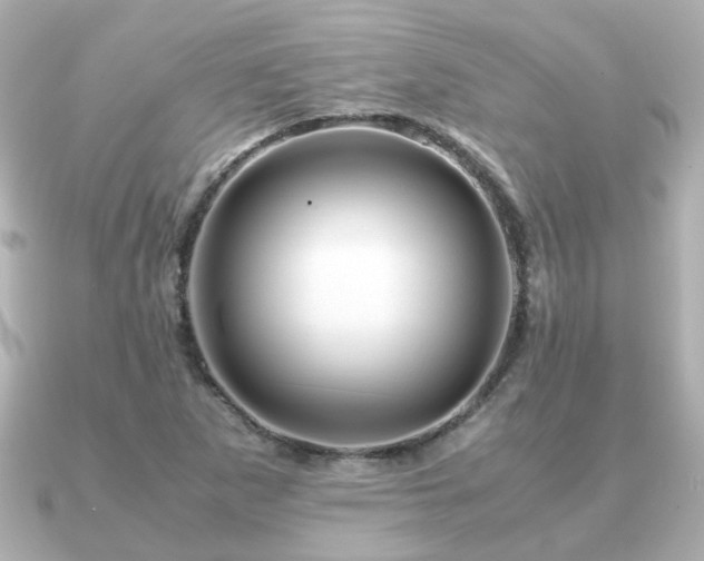 X0000090961265200708091348