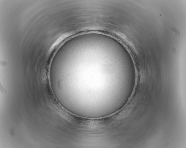 X0000090961266200708091348