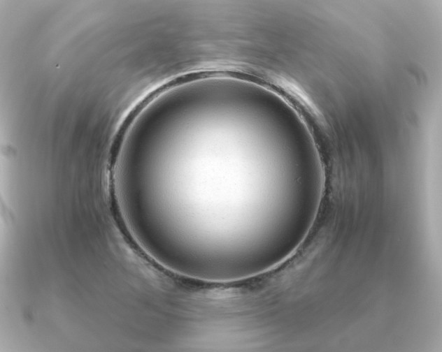 X0000090961268200708091348
