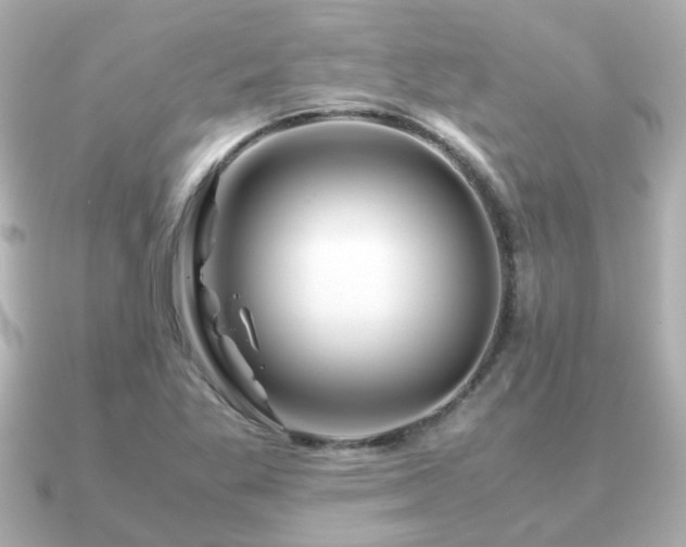 X0000090961269200708091348