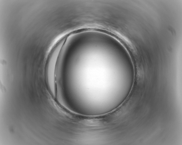 X0000090961272200708091348