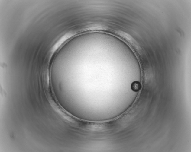 X0000090961274200708091348