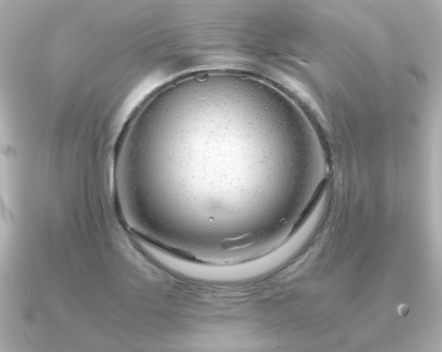 X0000090961275200708091348