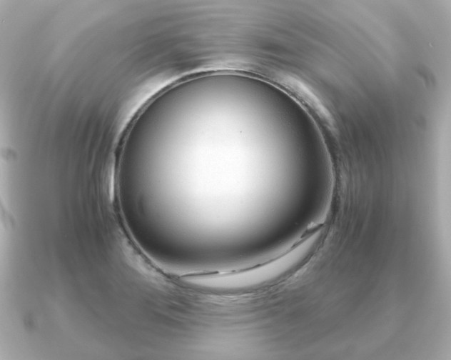 X0000090961276200708091348