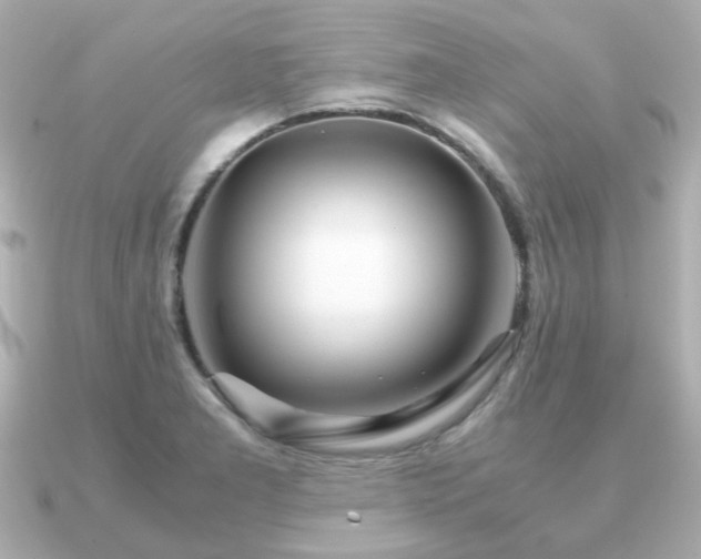 X0000090961277200708091348
