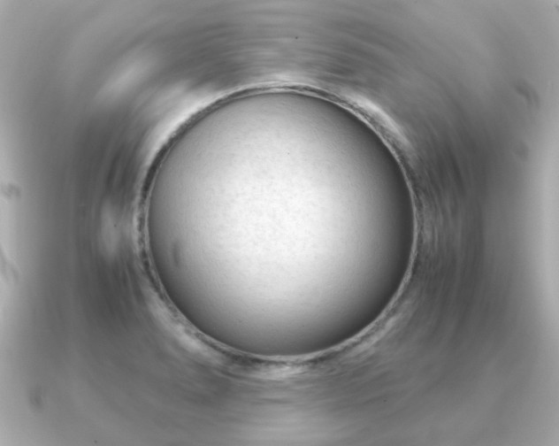 X0000090961278200708091348