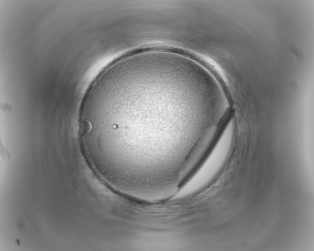 X0000090961279200708091348