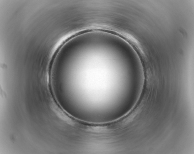 X0000090961280200708091348
