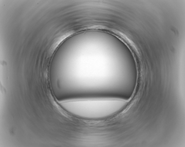 X0000090961281200708091348