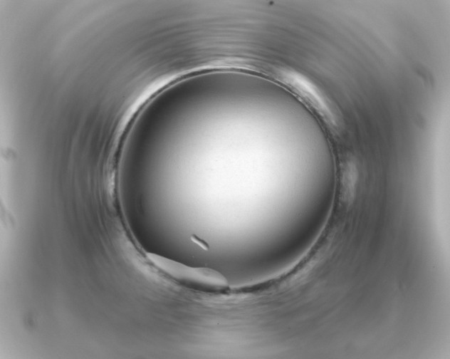X0000090961284200708091348