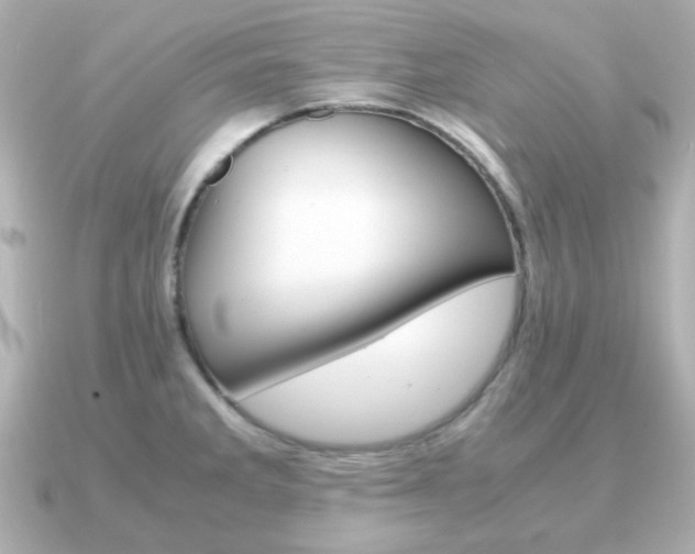X0000090961285200708091348