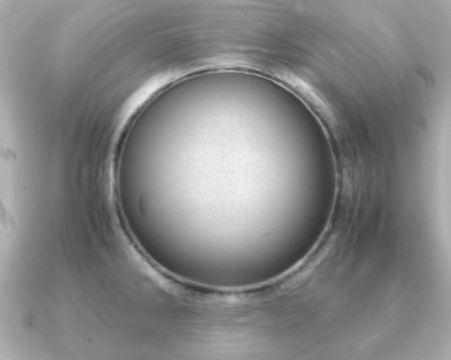 X0000090961286200708091348