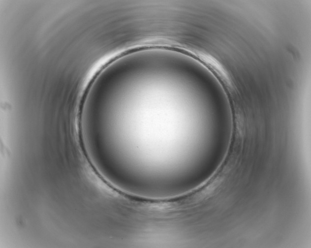 X0000090961288200708091348