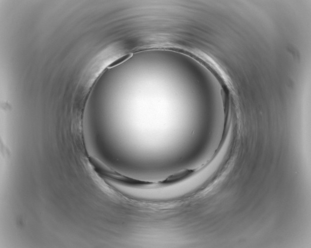 X0000090961289200708091348