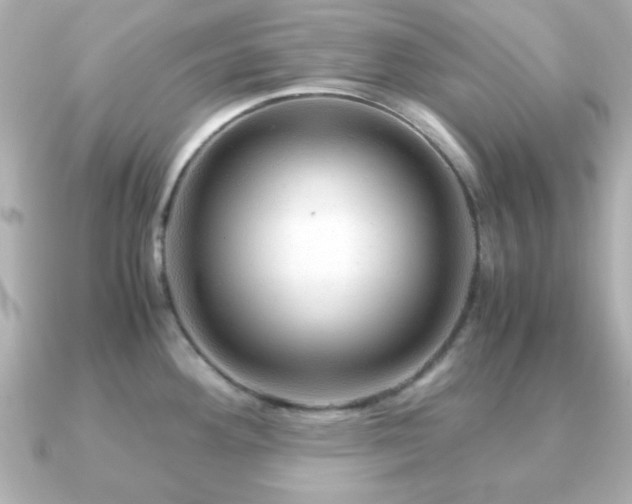 X0000090961292200708091348