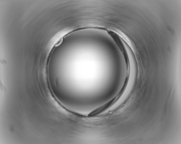 X0000090961293200708091348