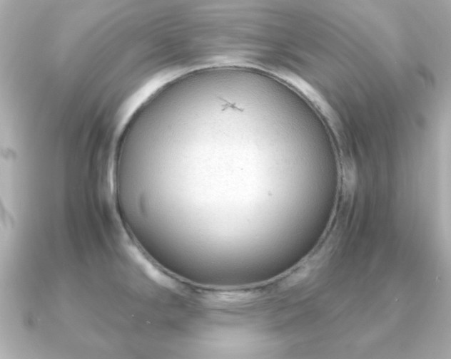 X0000090961294200708091348