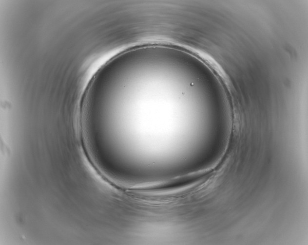 X0000090961295200708091348