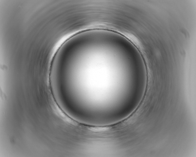 X0000090961296200708091348