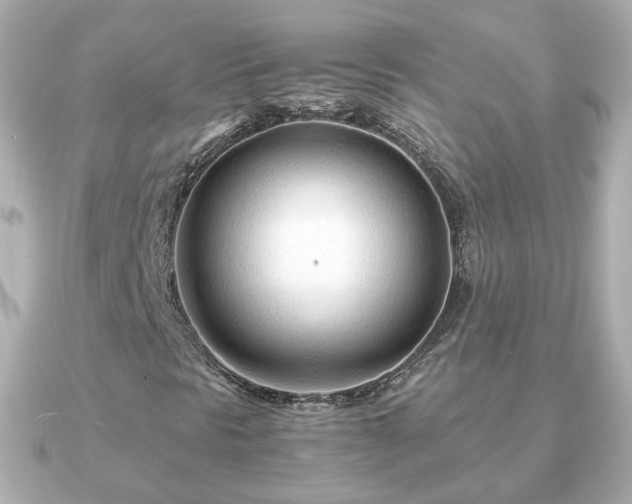 X0000090961297200708091347