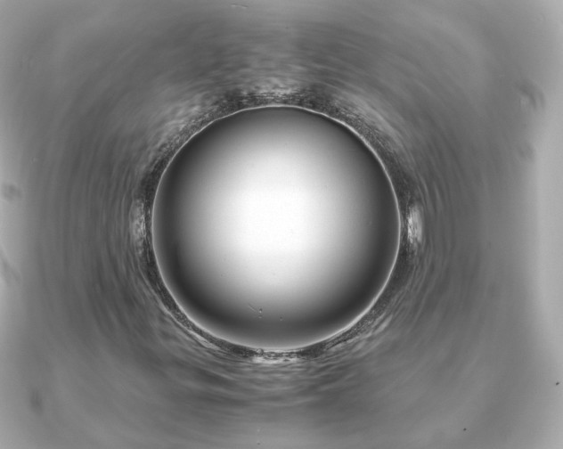 X0000090961299200708091347