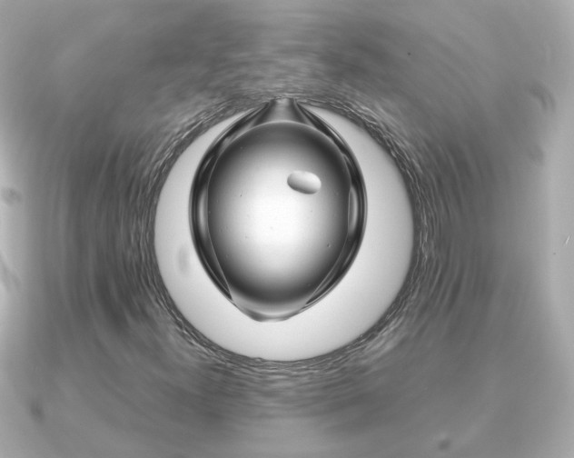 X0000090961300200708091347