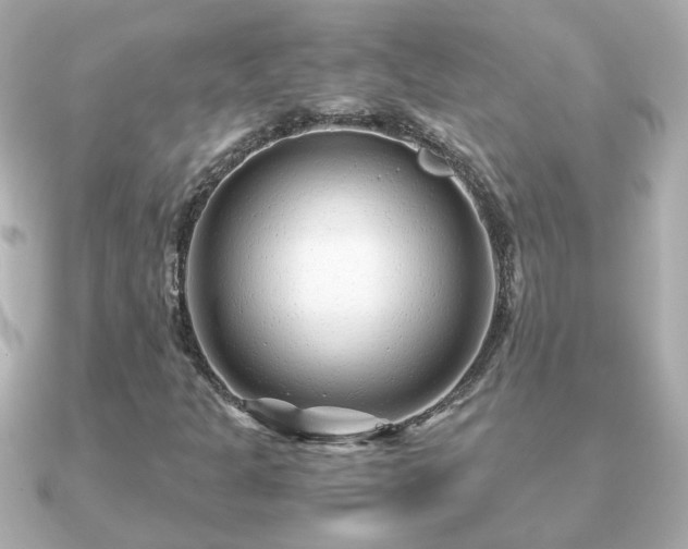 X0000090961301200708091347
