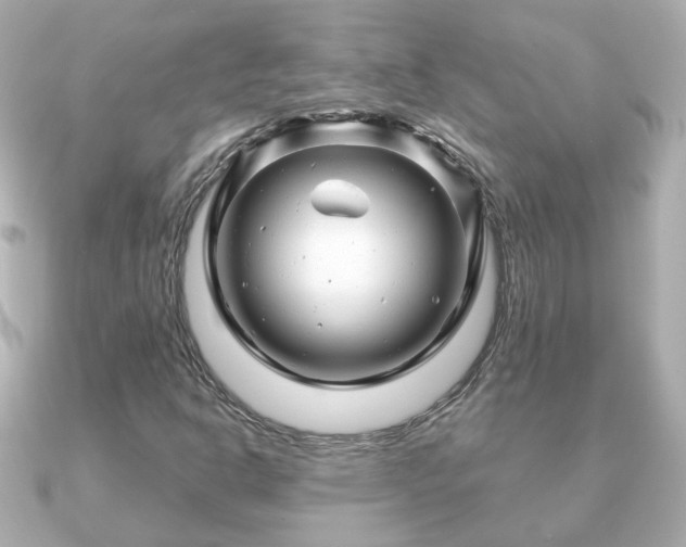 X0000090961302200708091347