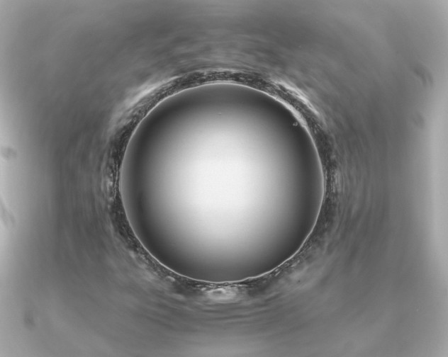 X0000090961303200708091347