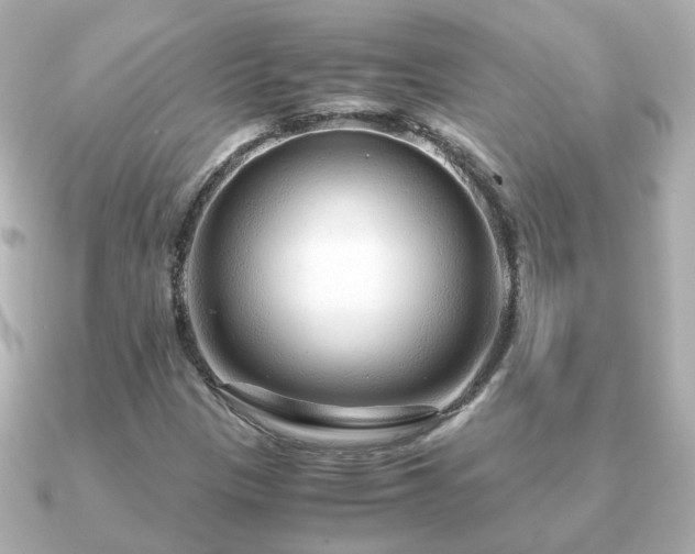 X0000090961305200708091347