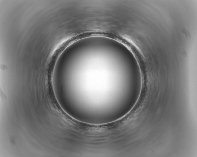 X0000090961307200708091347