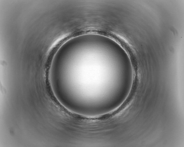 X0000090961309200708091347