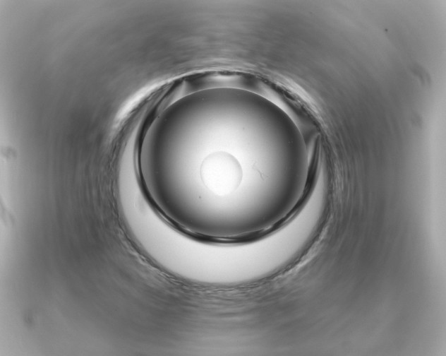 X0000090961310200708091347