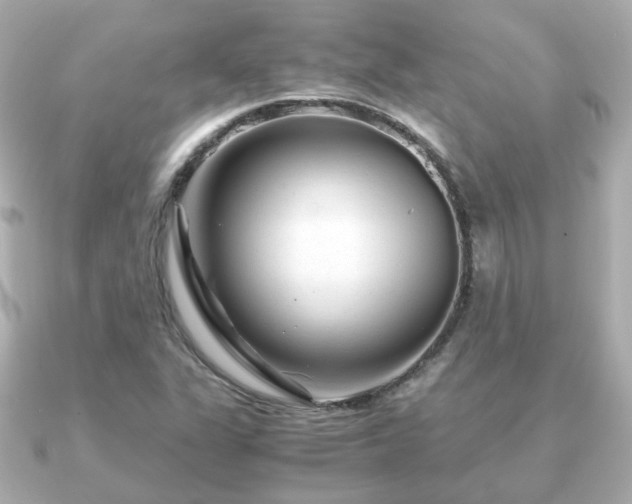 X0000090961311200708091347