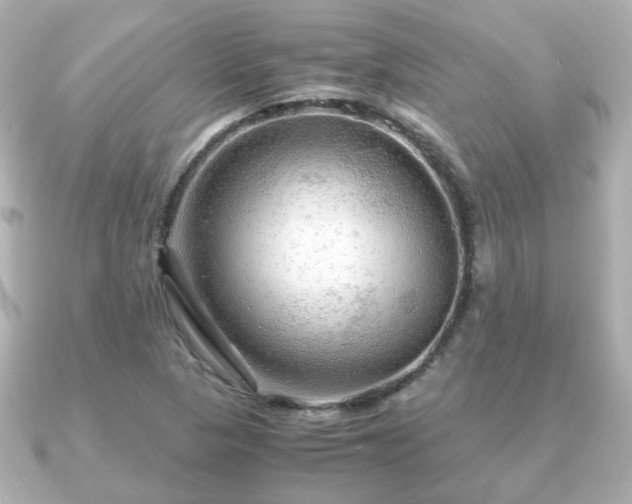X0000090961313200708091347