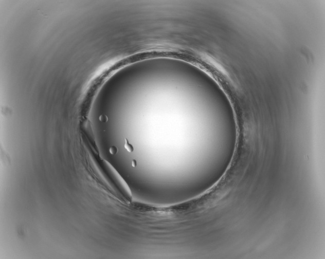 X0000090961315200708091347