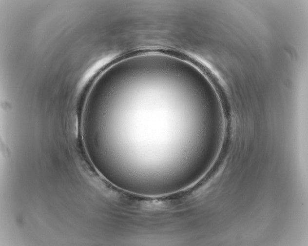 X0000090961317200708091347