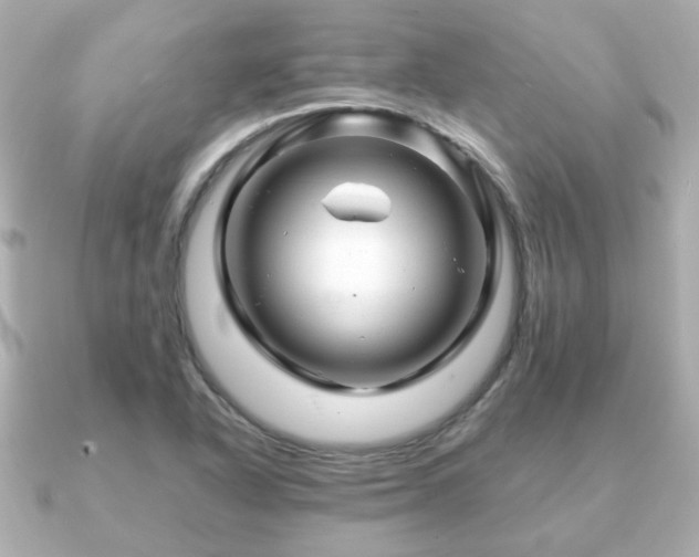 X0000090961318200708091347
