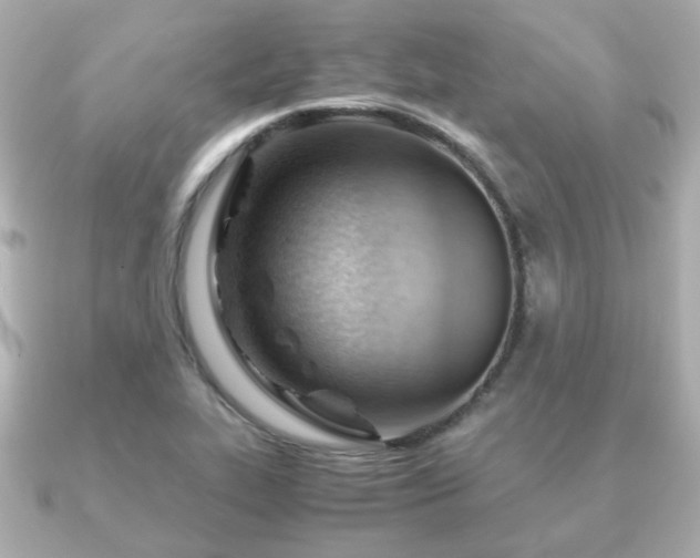 X0000090961319200708091347