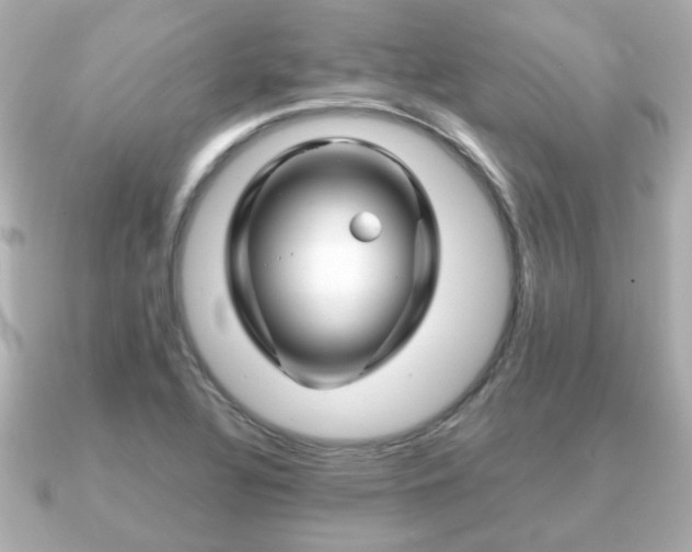 X0000090961320200708091347