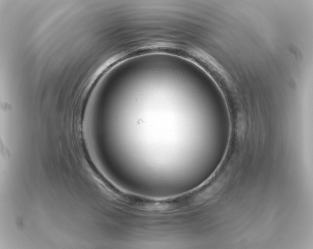 X0000090961321200708091347