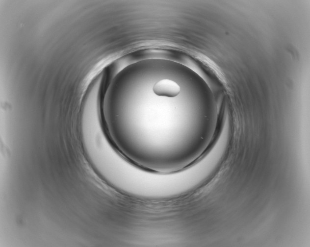 X0000090961322200708091347