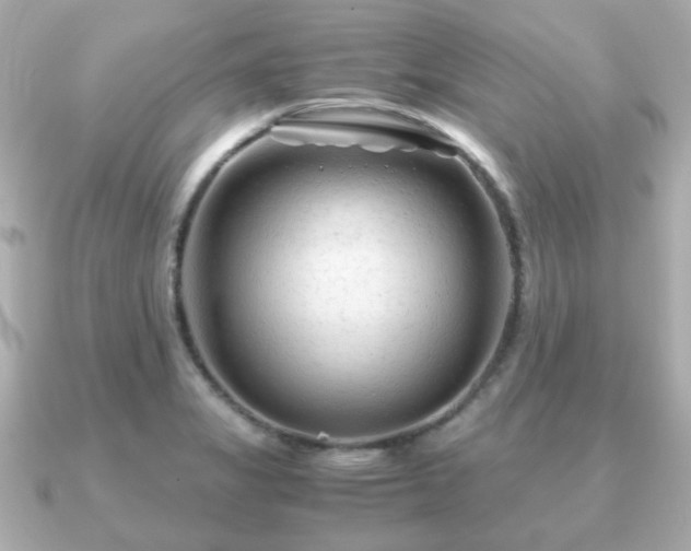 X0000090961325200708091347