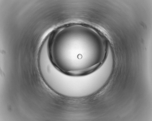 X0000090961326200708091347