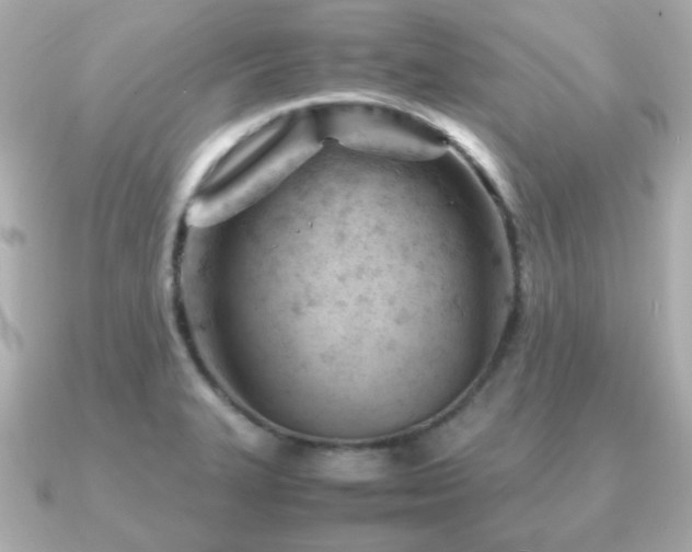X0000090961327200708091347
