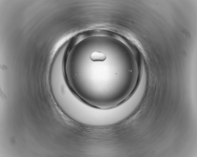 X0000090961328200708091348