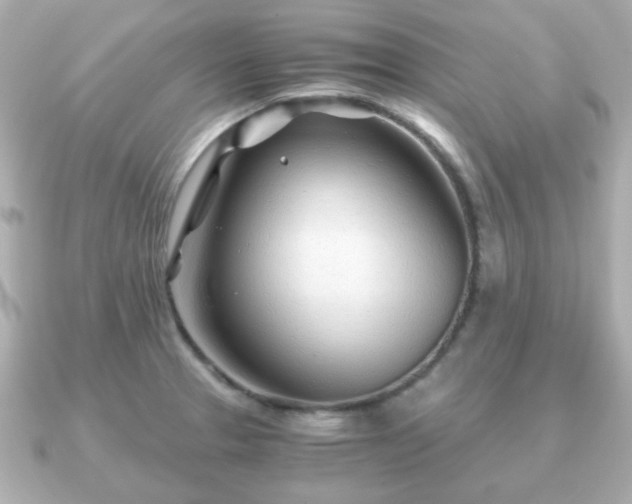 X0000090961329200708091348