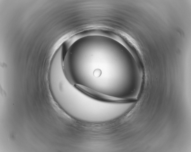 X0000090961330200708091348